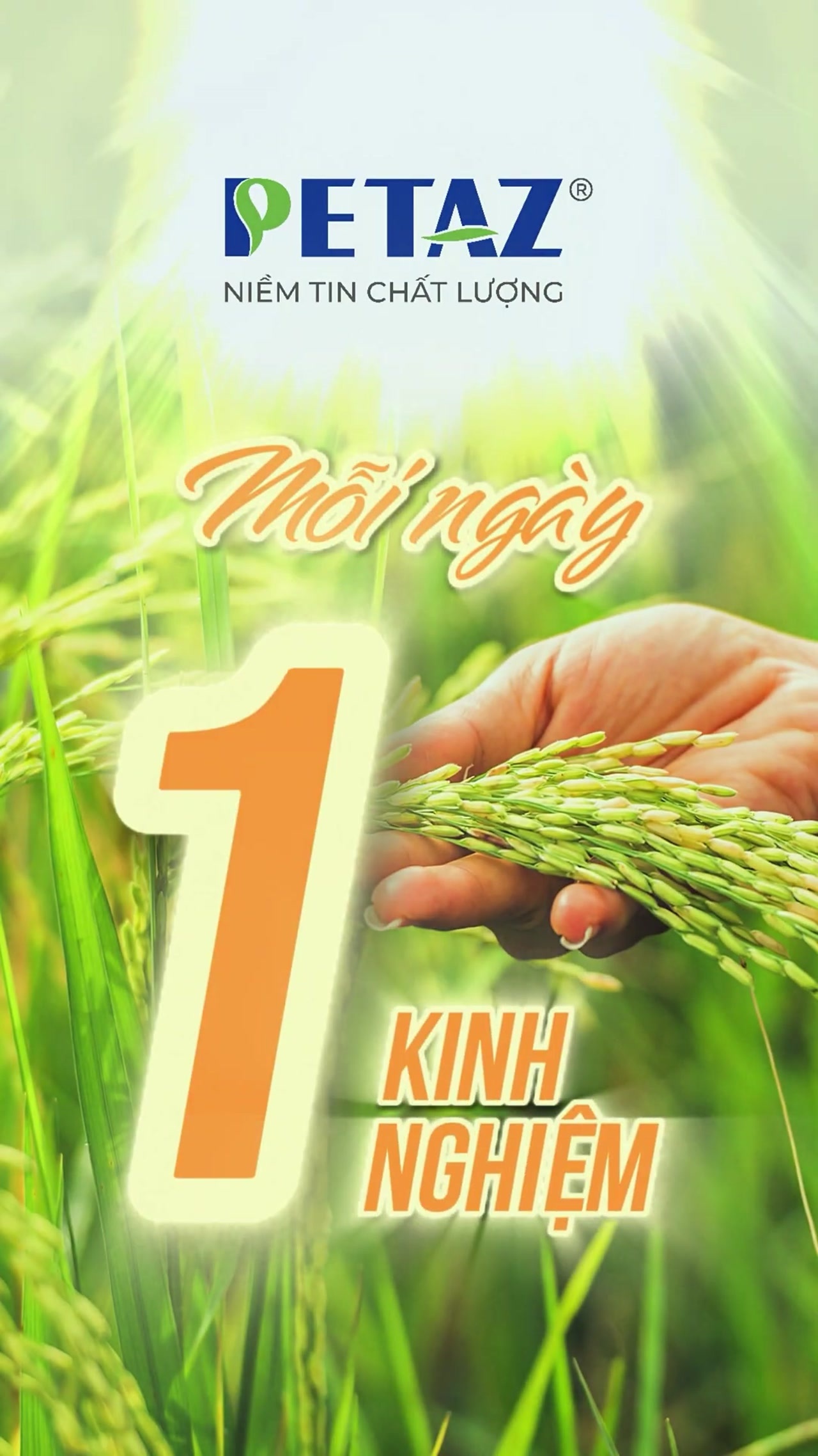 RUỘNG BẠN SẼ ĐẦY CỎ NẾU NHƯ KHÔNG BIẾT NHỮNG YẾU TỐ NÀY !!!