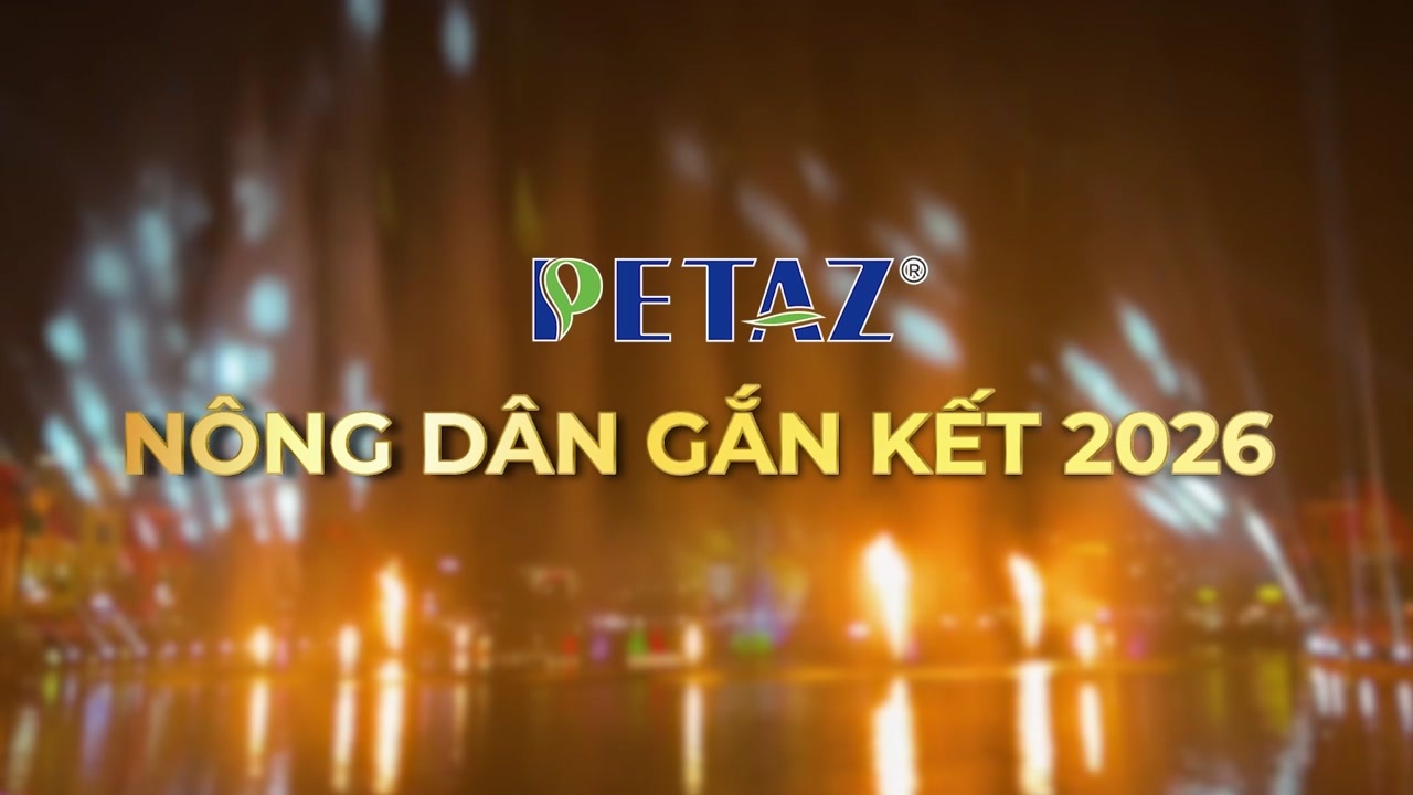 HÉ LỘ CHƯƠNG TRÌNH DL PHÚ QUỐC HẤP DẪN DÀNH CHO NDGK 2025 PETAZ - MỘT CHẠM, MỌI TRẢI NGHIỆM