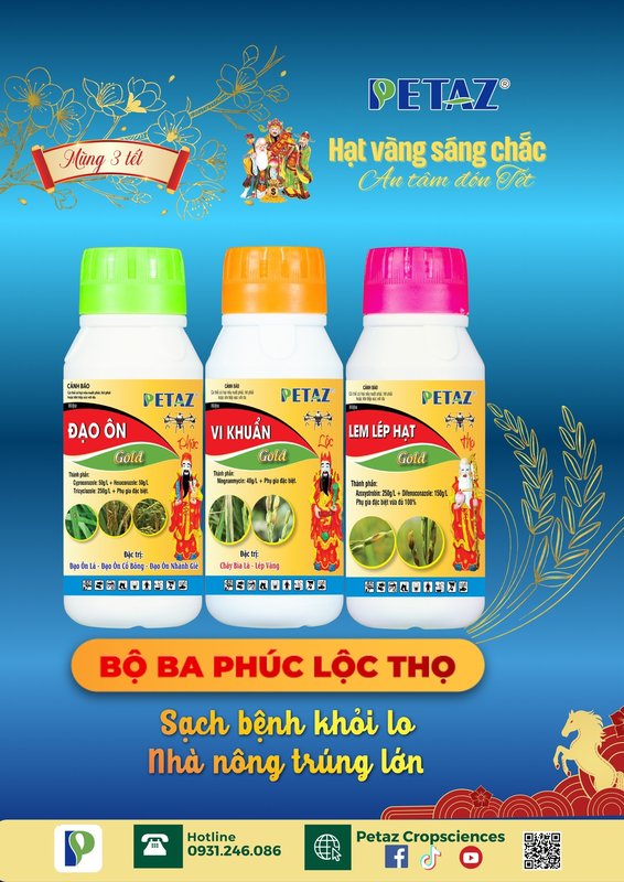 MÙNG 3 TẾT - RƯỚC PHÚC LỘC THỌ VỀ NHÀ - LÚA TRỔ TỚI ĐÂU, CHẮC ĐẾN ĐÓ!🌾 BỘ BA PHÚC – LỘC – THỌ