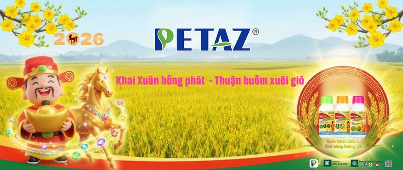 KHAI TRƯƠNG NĂM MỚI BÍNH NGỌ - PETAZ SẴN SÀNG TĂNG TỐC!
