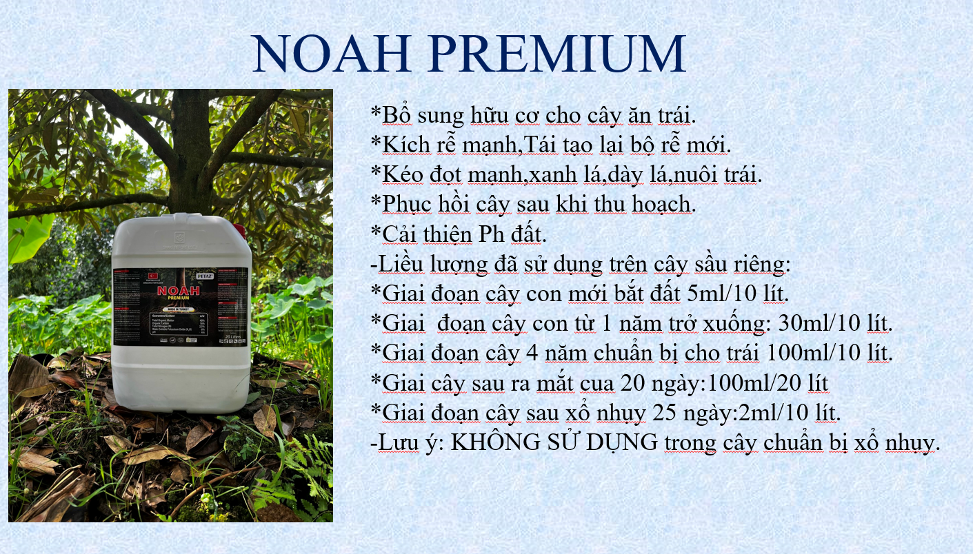 NOAH-PREMIUM