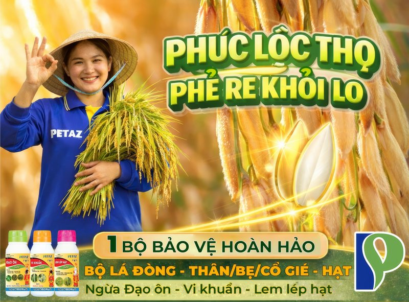 BÍ QUYẾT VÀO GẠO TỐI ĐA: BẢO VỆ CHUỖI "NHÀ MÁY - VẬN CHUYỂN - KHO CHỨA"