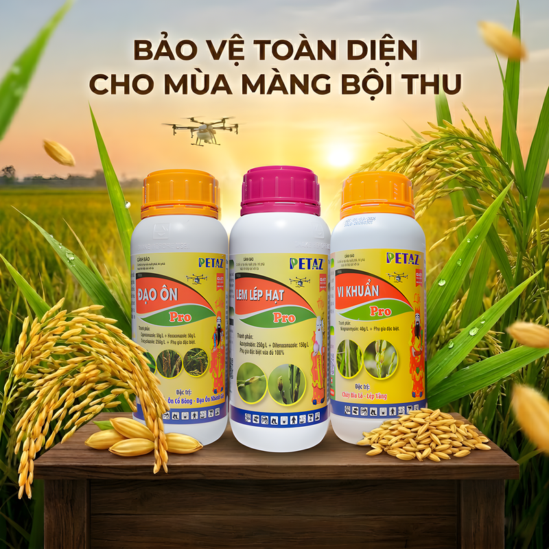 BỘ BA PHÚC PHÚC LỘC THỌ: ĐÁNH BAY ĐẠO ÔN - SẠCH TRƠN LEM LÉP HẠT!