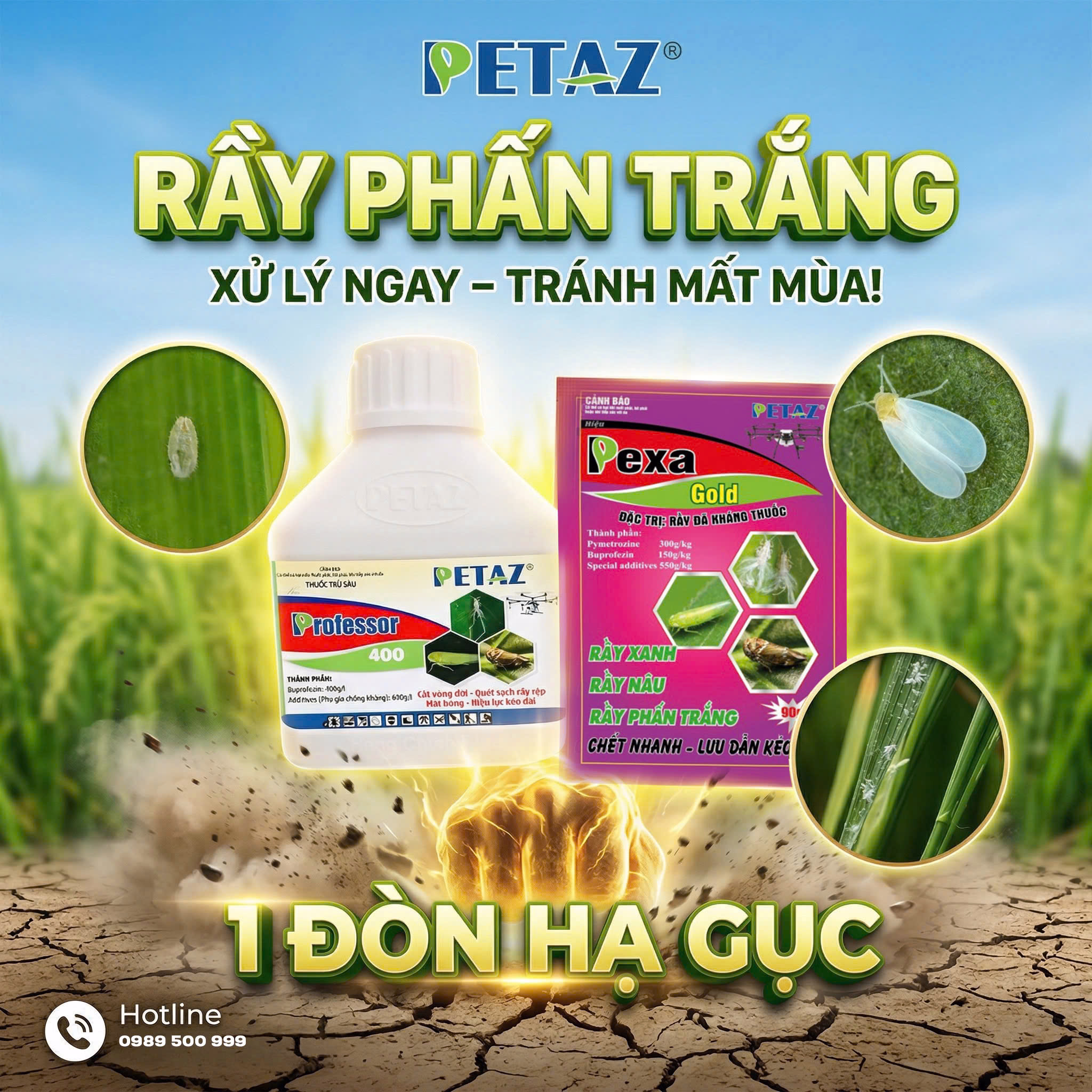 GIẢI PHÁP KIỂM SOÁT RẦY PHẤN TRẮNG HIỆU QUẢ   AN TOÀN CHO LÚA GIAI ĐOẠN TRỔ - – ÍT TỐN CHI PHÍ